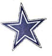 Dallas Star Logo 3" Embroidered Sew On Iron Fan  Patch